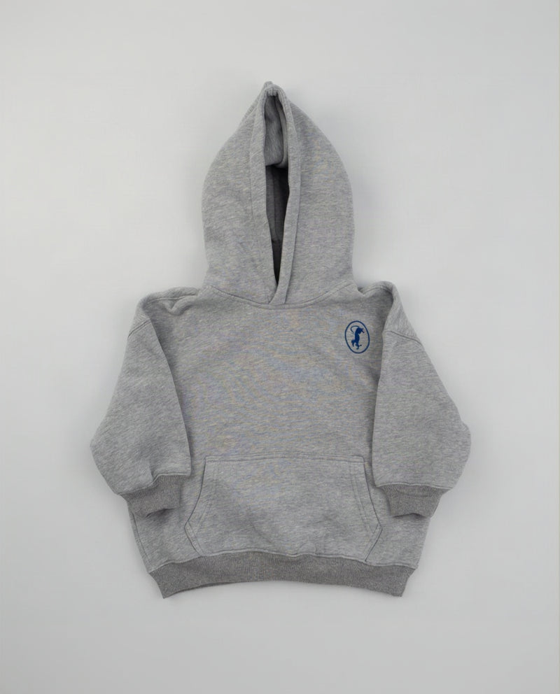 A light gray heather pullover hoodie with a small blue circular logo on the left chest, laid flat against a light gray background.